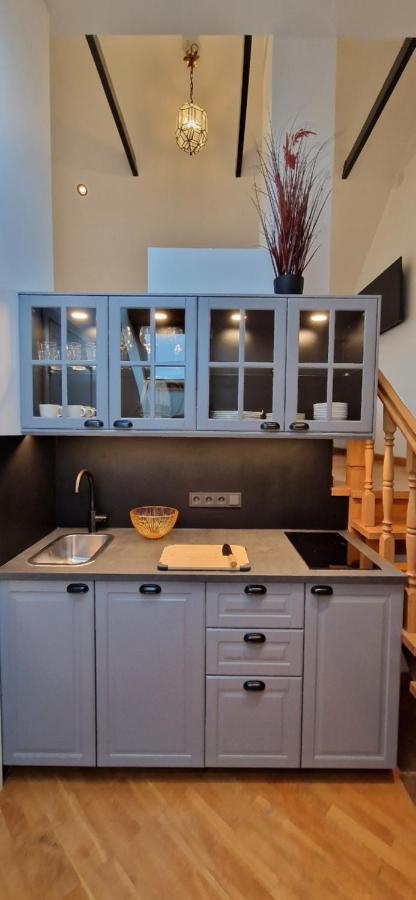 Tyzenxl Luxury Vilnius Apartments Dış mekan fotoğraf